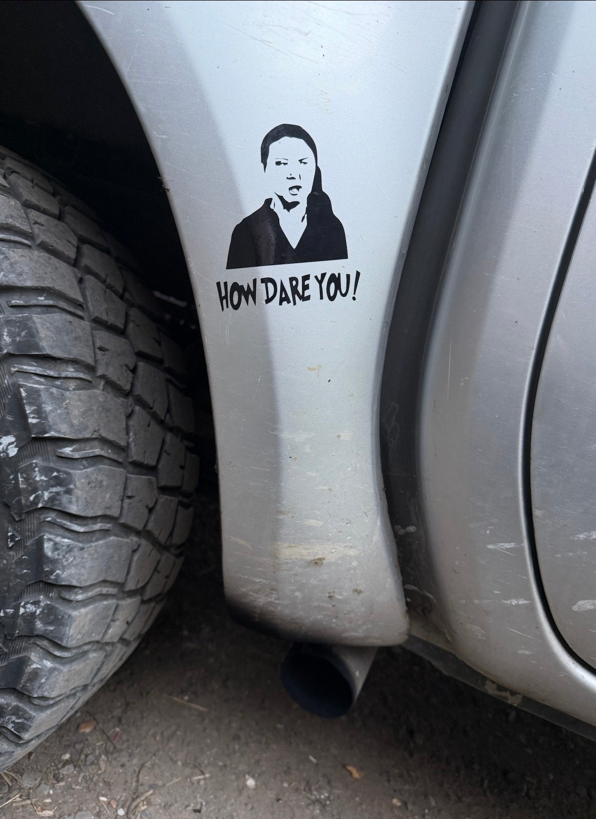 Greta thunberg decal