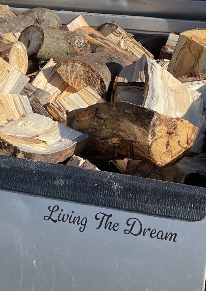 Living the dream
