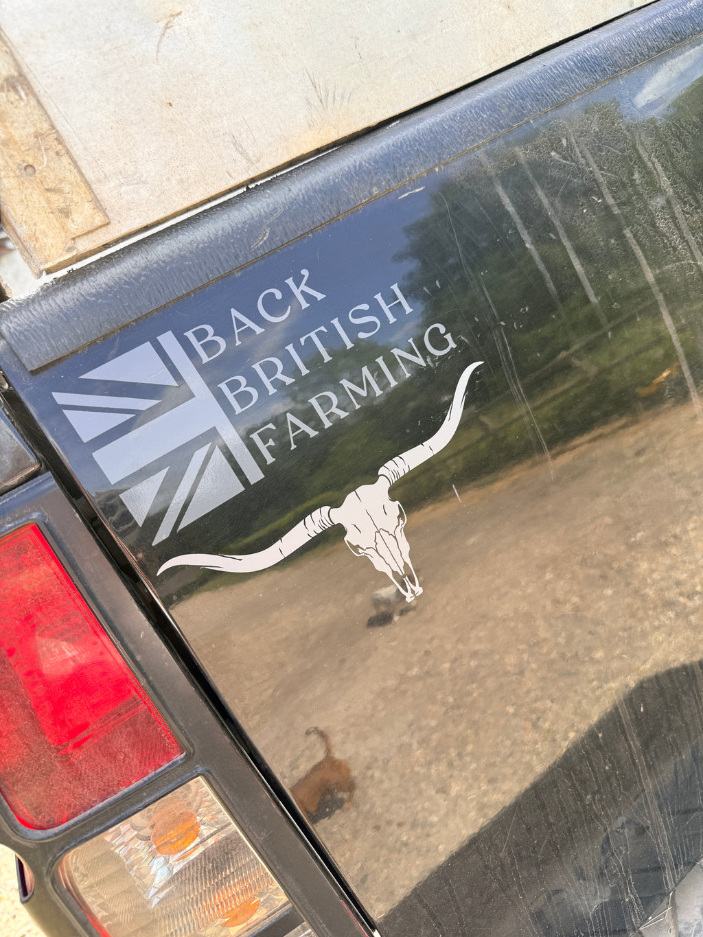 Longhorn decal